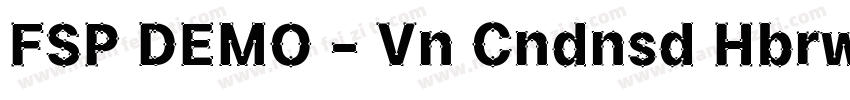 FSP DEMO - Vn Cndnsd Hbrw-Rglr字体转换